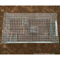 Repeating Control Trap Wire Cage Repeating Sparrow Control Trap Wire Cage Supplier